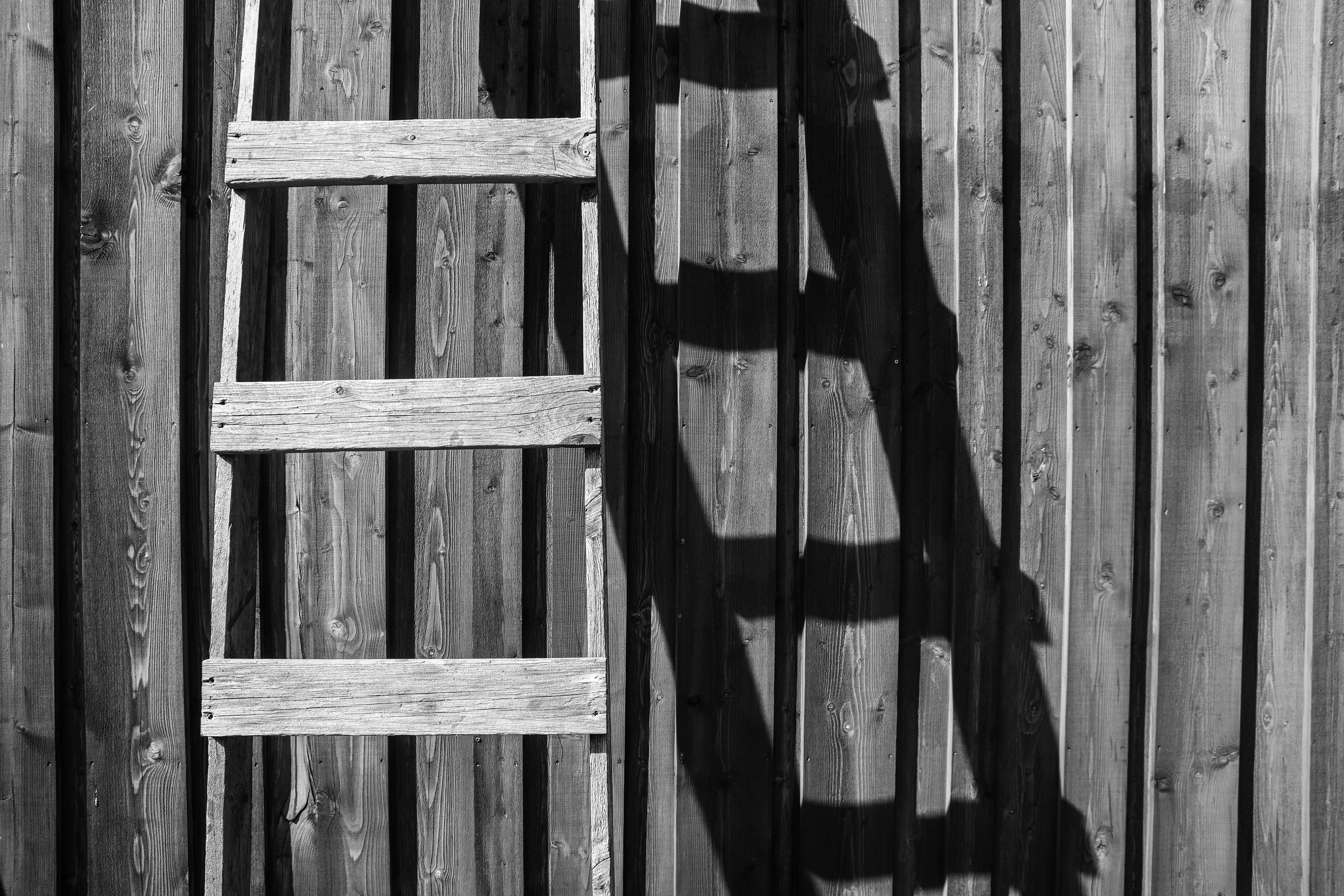 Ladder leaning against a wall.