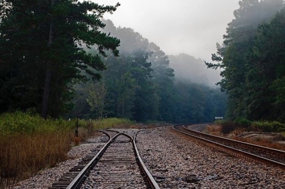 Rail road in foggy wooded area